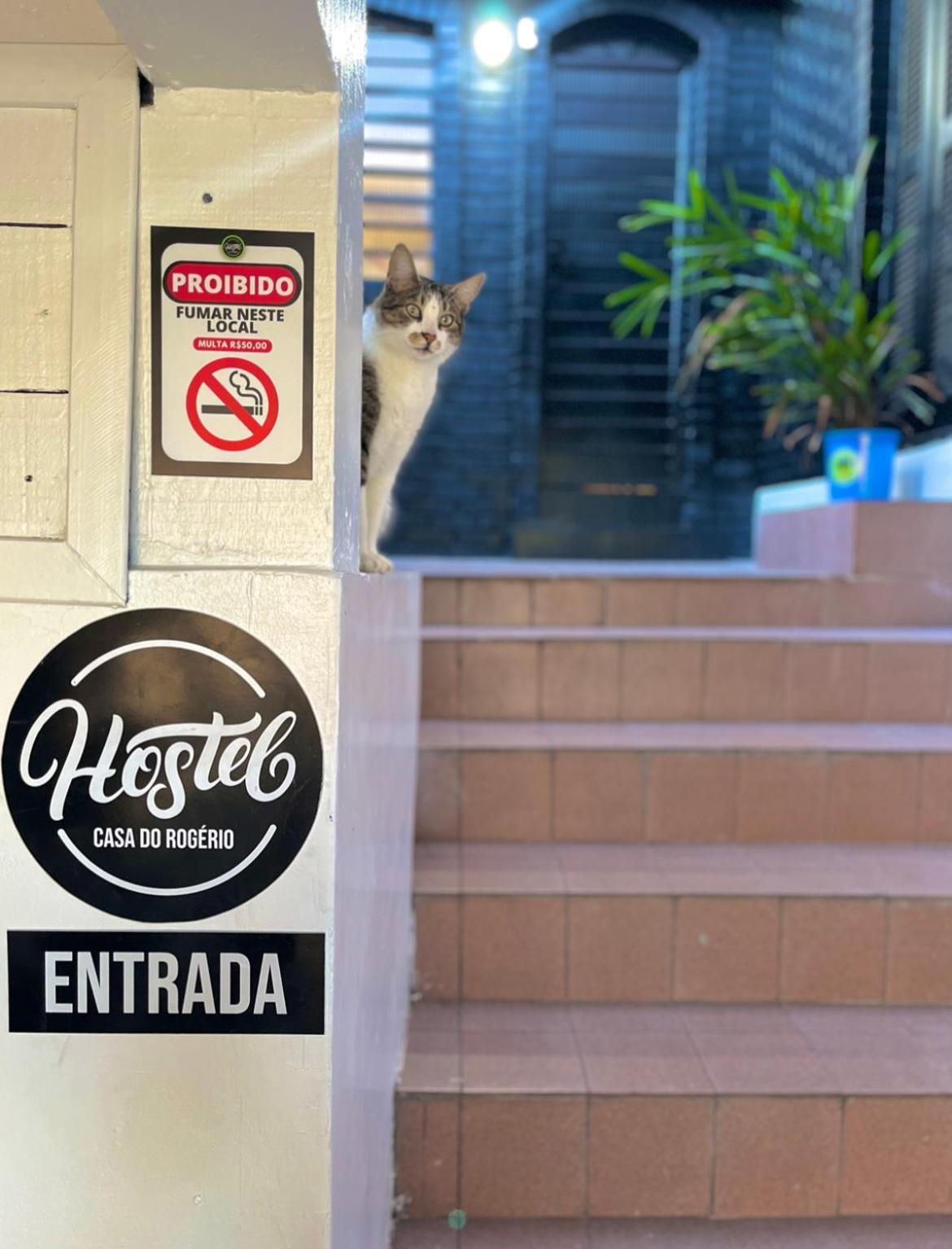 Casa Do Rogerio Hostel Кашиас-ду-Сул Экстерьер фото